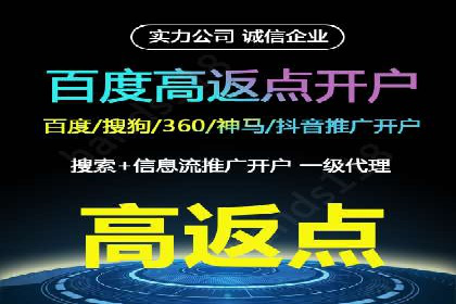 百度优化推广案例剖析：某电商平台的成功之路